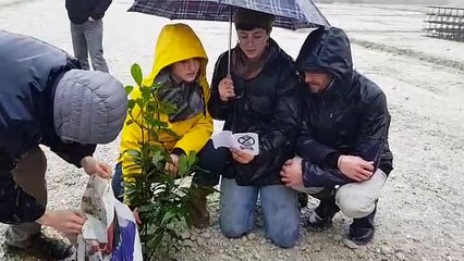 Amazon à Annecy : après avoir planté l'arbre, les manifestants chantent autour de la plante symbolique