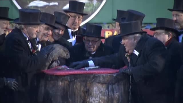 La primavera llegará pronto, según la marmota Phil