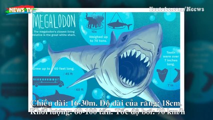 Loài động vật nào đáng sợ nhất trong lịch sử Trái đất?