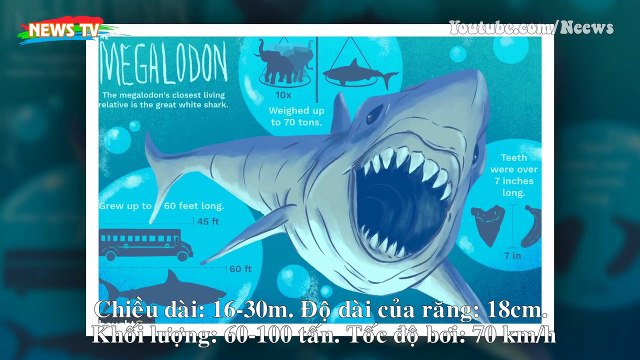 Loài động vật nào đáng sợ nhất trong lịch sử Trái đất?