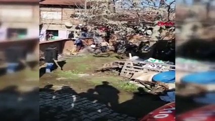 Mahalleye inen domuzlar markete girdi ! Şoke eden görüntüler