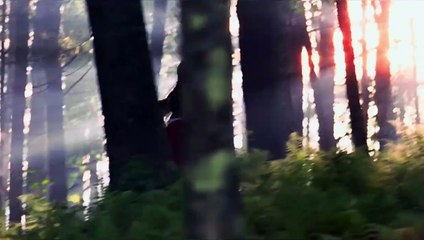 Les Filles du Docteur March Bande-annonce VF