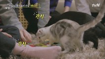펜타곤의 집들이 선물에 정신 못 차리는 껌봉이들♥
