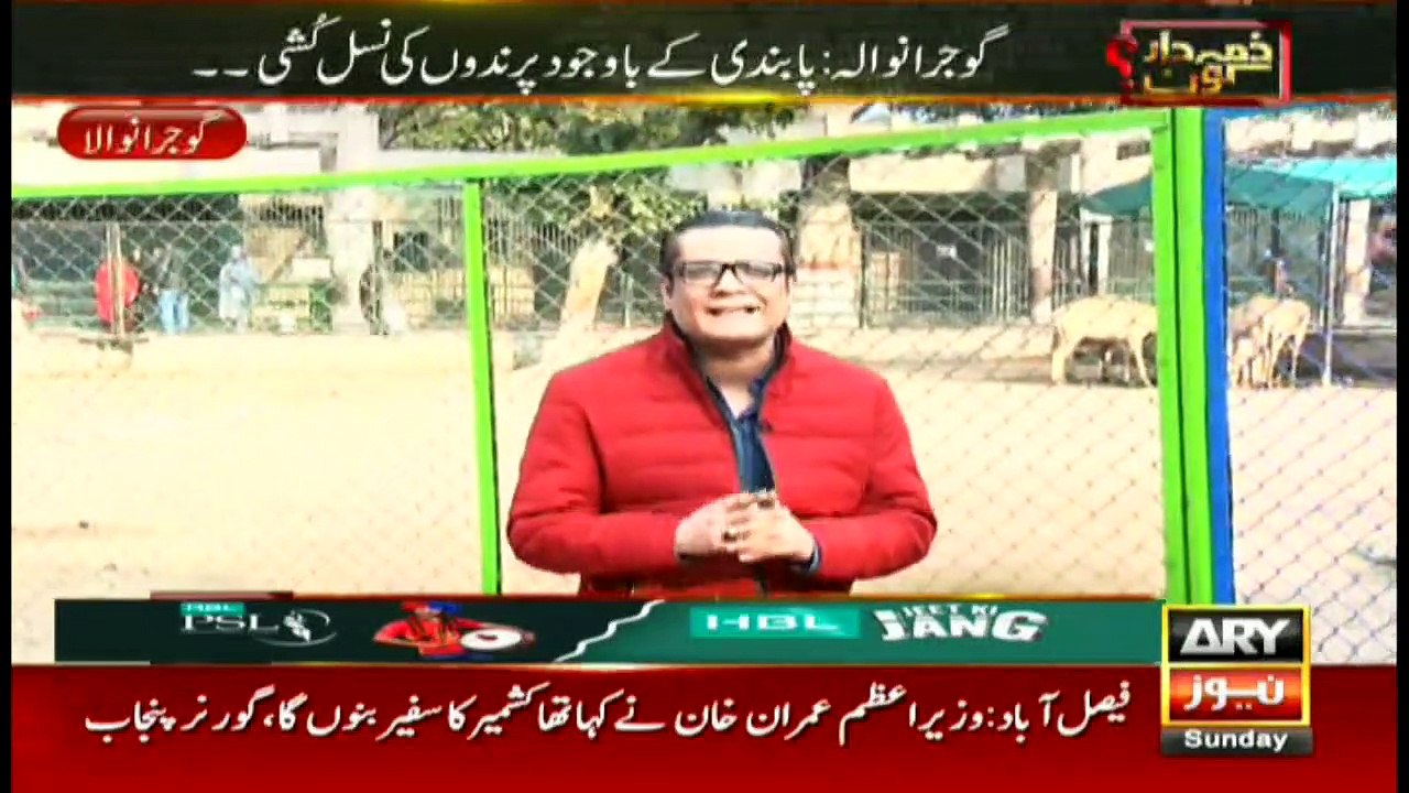 Zimmedar Kaun | Ali Rizvi  | ARYNews | 2 February 2020