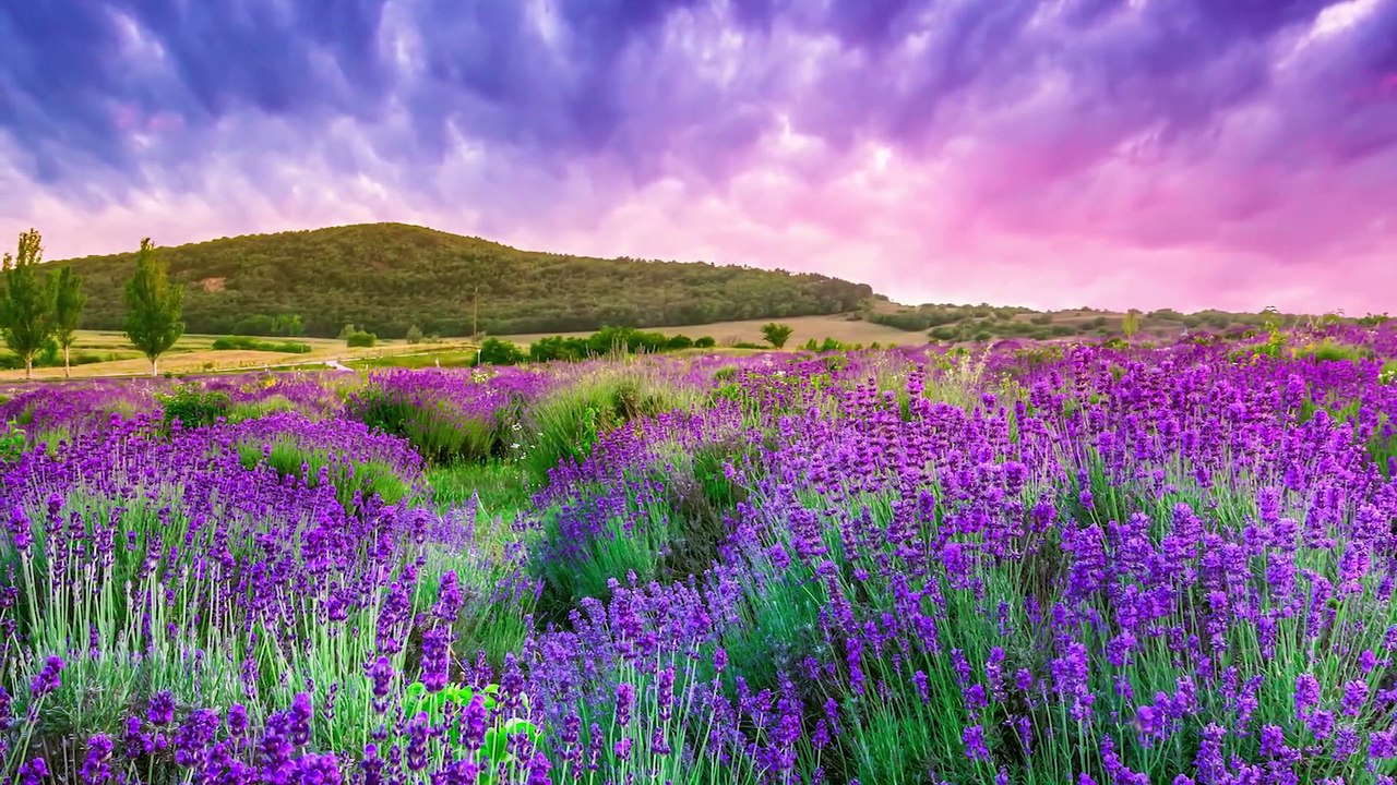 30 Minute Deep Sleep Music, Sleep Meditation, Calm Music, Relaxing Music, Fall Asleep, Relax, ☯3590B