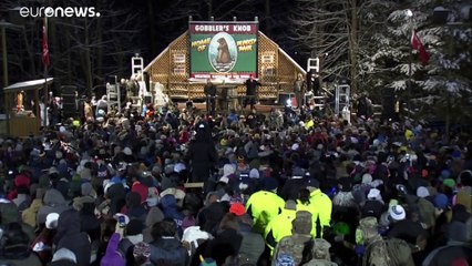 L'ultracentenaria tradizione americana del giorno della marmotta
