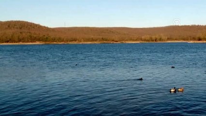 Poyrazlar Gölü'nde yarıyıl tatilinin son gününde ziyaretçi yoğunluğu