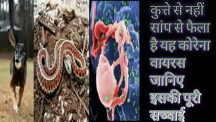 Korona vayras kaise faila China me aur ye kid kid Desh me phail Chuka hai janiye Puri sacchai ke sath me