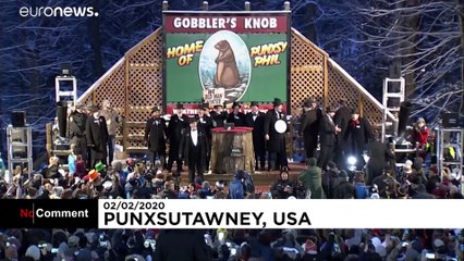 'Köstebek Phil' gölgesini görmedi: Bu yıl bahar erken gelecek