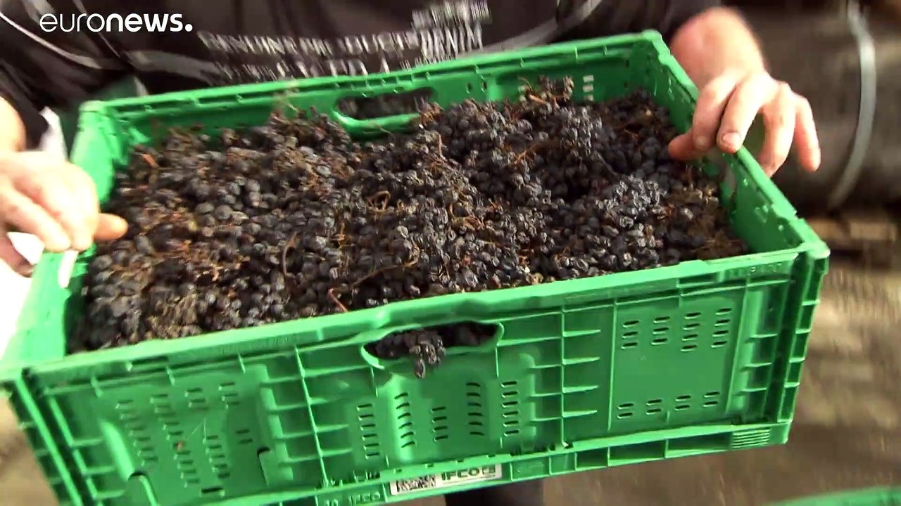 'Sweet Brexit' - Dessertwein soll Exportumsatz retten