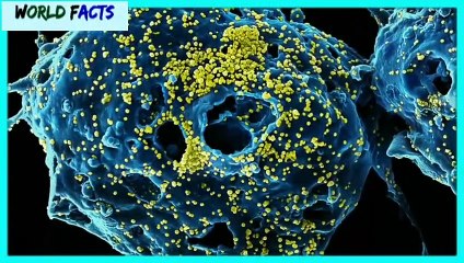 आखिर क्या है Corona Virus का सच?| What Is Corona Virus?| Hidden Mysteries| #coronavirus