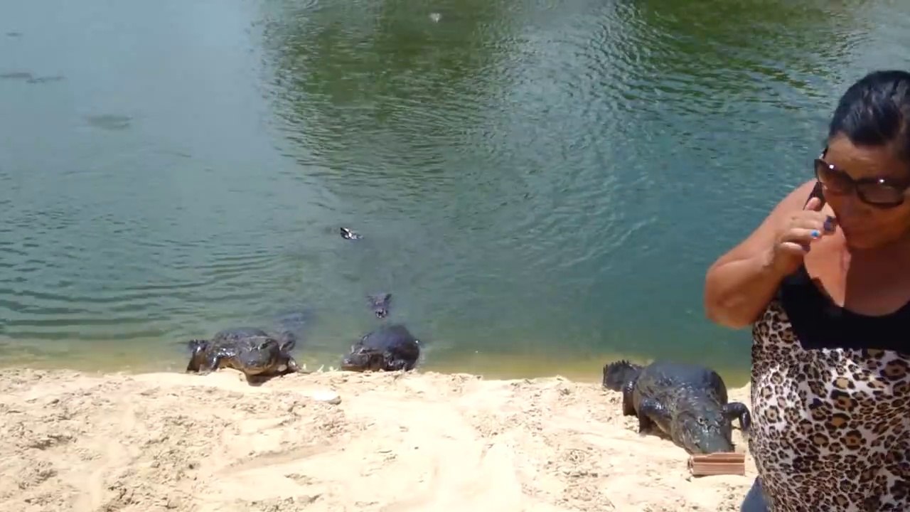 Elle siffle au bord de la rivière et regardez ce qui rapplique et sort de l'eau