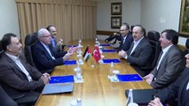 Çavuşoğlu, Filistin Dışişleri Bakanı Malki ile bir araya geldi