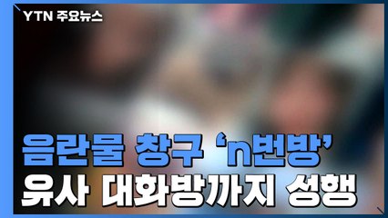 음란물 유통창구 된 텔레그램...'n번방' 처벌 요구 봇물 / YTN