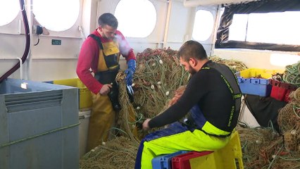 Le prime "vittime" della Brexit: i pescatori francesi