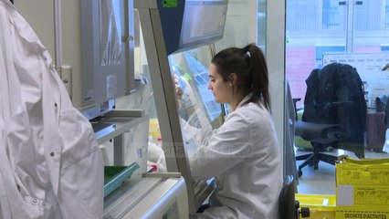 Koronavirus/ Në kërkim të vaksinës, kompanitë kuotohen në bursa