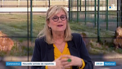 Coronavirus : un second avion de rapatriés avec davantage de ressortissants étrangers