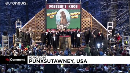 Spring will come earlier this year, says groundhog Phil