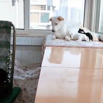 Yavruları emzirirken hareket edemeyen eşini düşünerek, ona atıştırmalık getirip, sarılan sahiplenici bir baba ve eş.