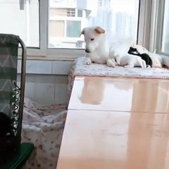 Yavruları emzirirken hareket edemeyen eşini düşünerek, ona atıştırmalık getirip, sarılan sahiplenici bir baba ve eş.