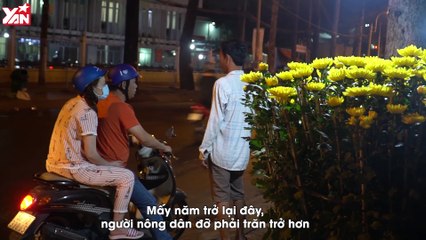 ĐỪNG CHỜ 30 TẾT MỚI MUA HOA ĐỂ ÉP GIÁ II YANNEWS