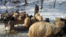 Bitlis'te kış