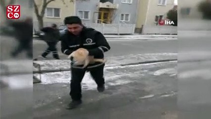 Kedi donmaktan son anda kurtarıldı