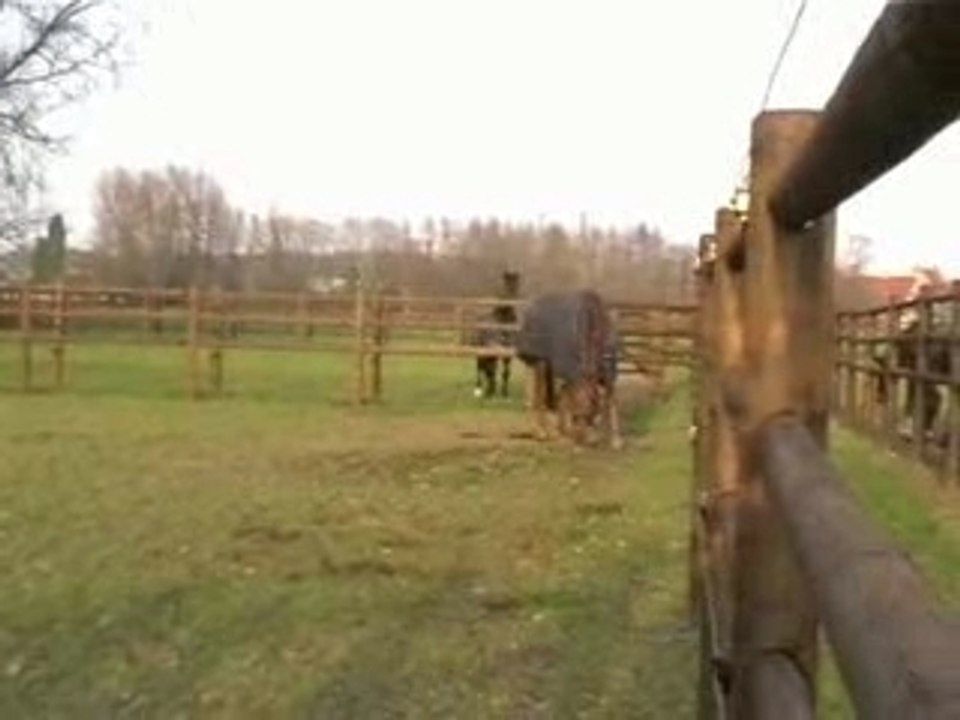Torento 08.02.2008.