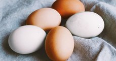 Quelle différence y a-t-il entre les œufs marrons et les œufs blancs