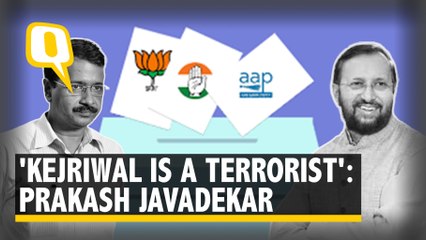 Delhi Polls 2020 | Prakash Javadekar: 'Plenty of Proof that Kejriwal is a Terrorist'