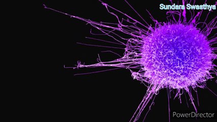 Bad effect to our body from drink bottle water