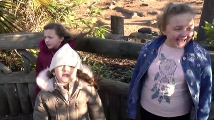 The Floor is  Lava Challenge! With Sisters Sophia  Isabella e Alice  at the  Pretend Playtime
