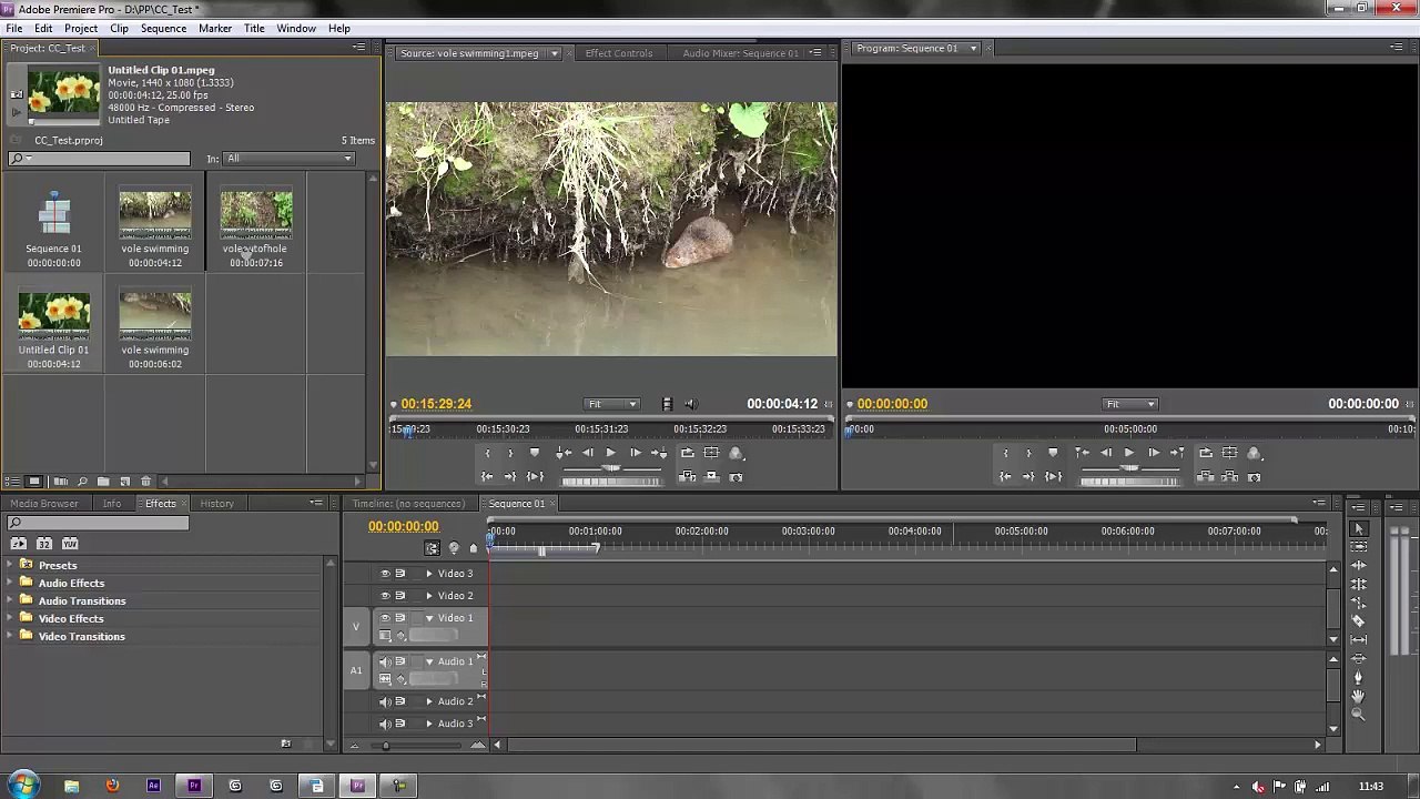 Premiere_Pro_CS6_3_Project_Panel