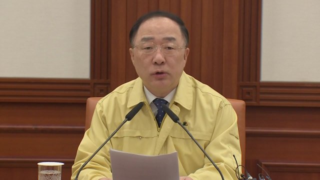 홍남기 신종 코로나로 경기 하방 우려...조기 종식 총력 / YTN