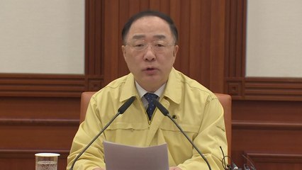 홍남기 "신종 코로나로 경기 하방 우려...조기 종식 총력" / YTN