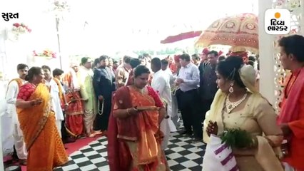સુરતમાં ગાય માતાની સાક્ષીમાં લગ્ન, 2 ગાય-1 વાછરડાં સાથે વરઘોડો નીકળ્યો