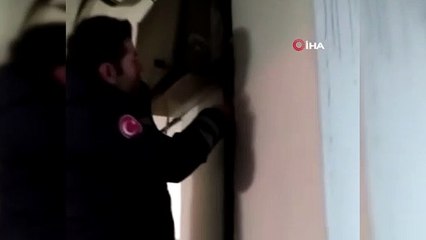 Yozgat’ta trafoya sıkışan kedi itfaiye ekiplerince kurtarıldı