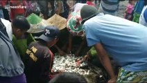 Indonesian fishermen's haul contains large amounts of plastic waste mixed with fish