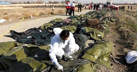 İran'ın düşürdüğü Ukrayna uçağında pilotla kulenin ses kayıtları ortaya çıktı