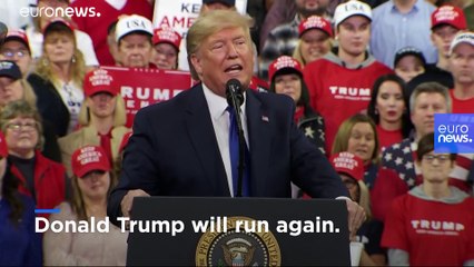 How do the US presidential election primaries work?