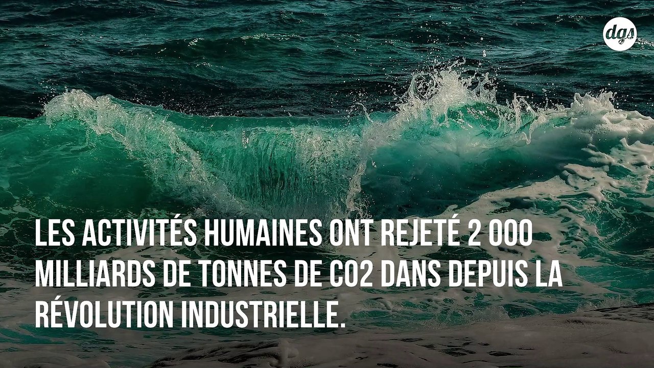L'acidification des océans dévore littéralement la carapace des crabes dans le Pacifique