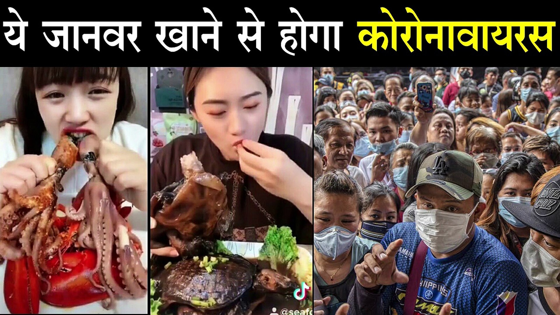 ⁣Coronavirus का सबसे बड़ा हमला मासाहारी लोगों पर | Talented View