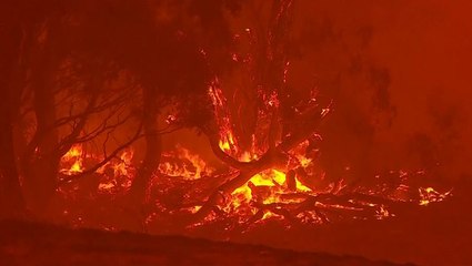 Conditions worsen as strong winds fuel wildfires