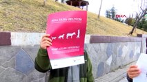 Ankara'daki hayvan ölümleri için suç duyurusu