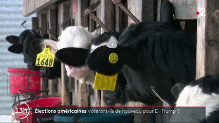 États-Unis : ces démocrates qui ont rallié Donald Trump