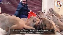 Indian businessman dubbed 'monkey lover' as he feeds the animals every week