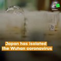 Japan Has Isolated The Wuhan Coronavirus