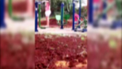 Mulher reclama de crianças que brincam em academia na Rua Ásia