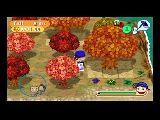 Harvest Moon Magical Melody and How it Aged Part 4: Social Aspect