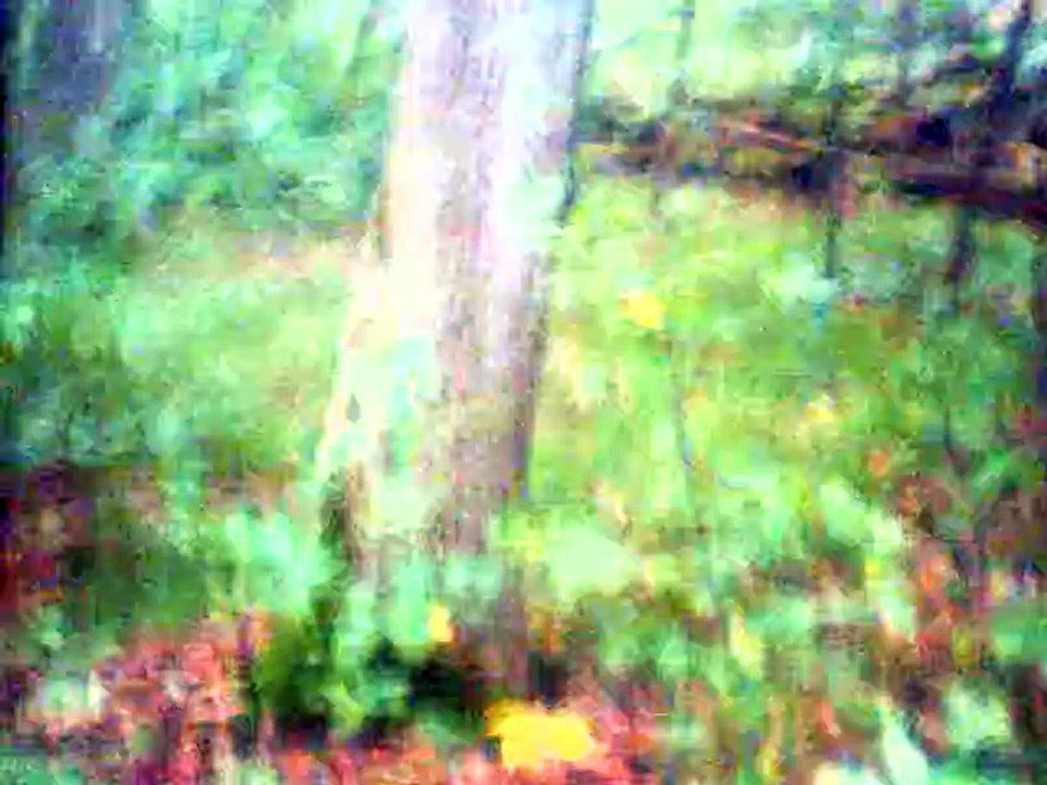 Take O Take Those Lips Away